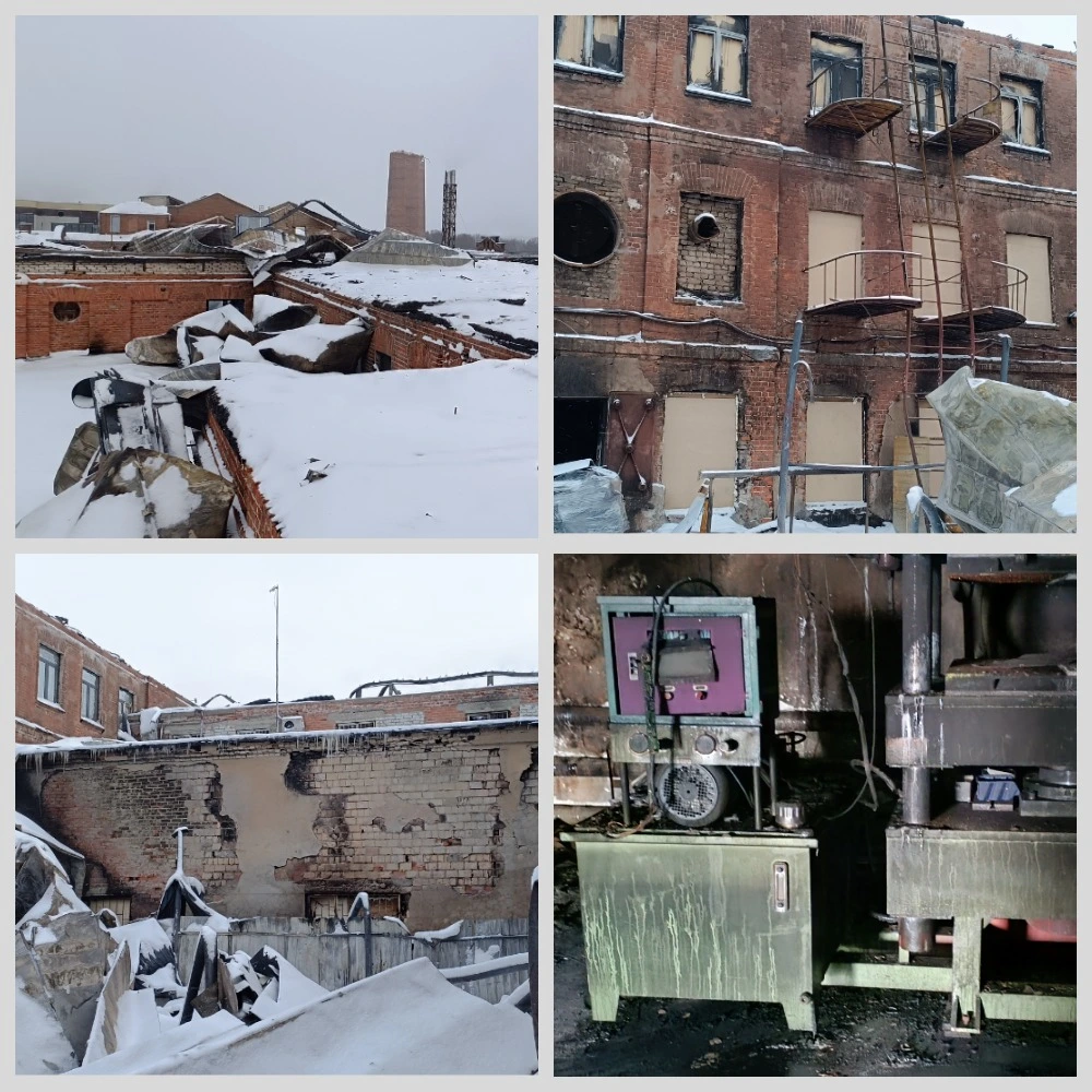 MyCollages (1) (convert.io).webp